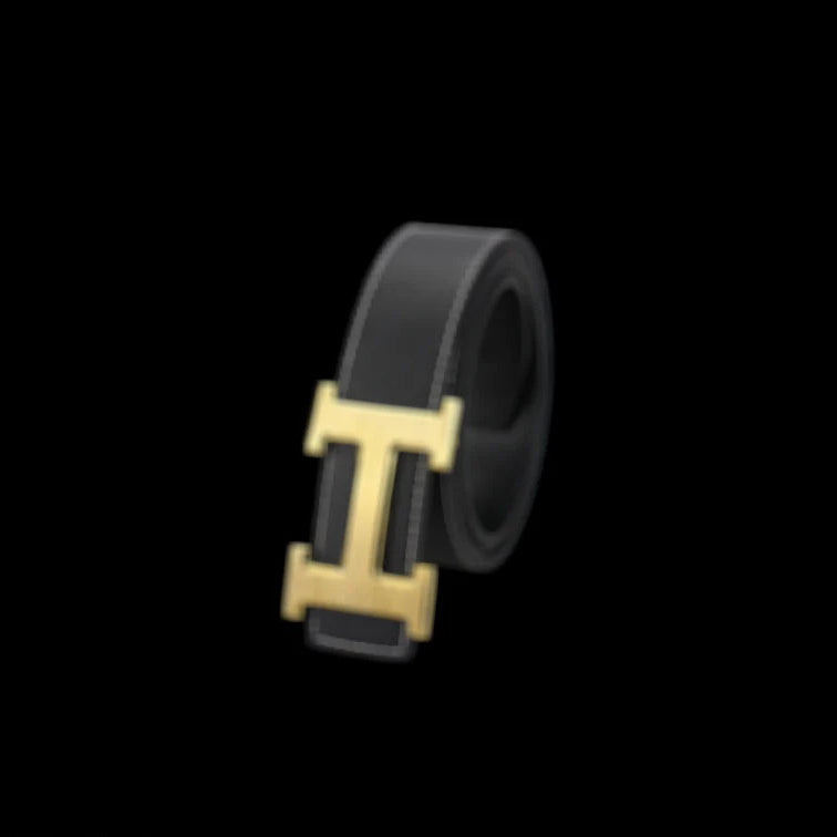 HRMS BELT